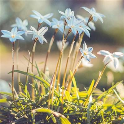 开云集团app下载截图