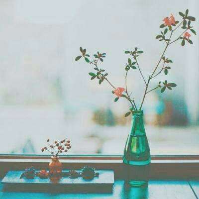 皇冠新体育app下载