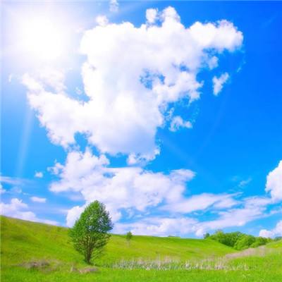 赏金女王下载ios